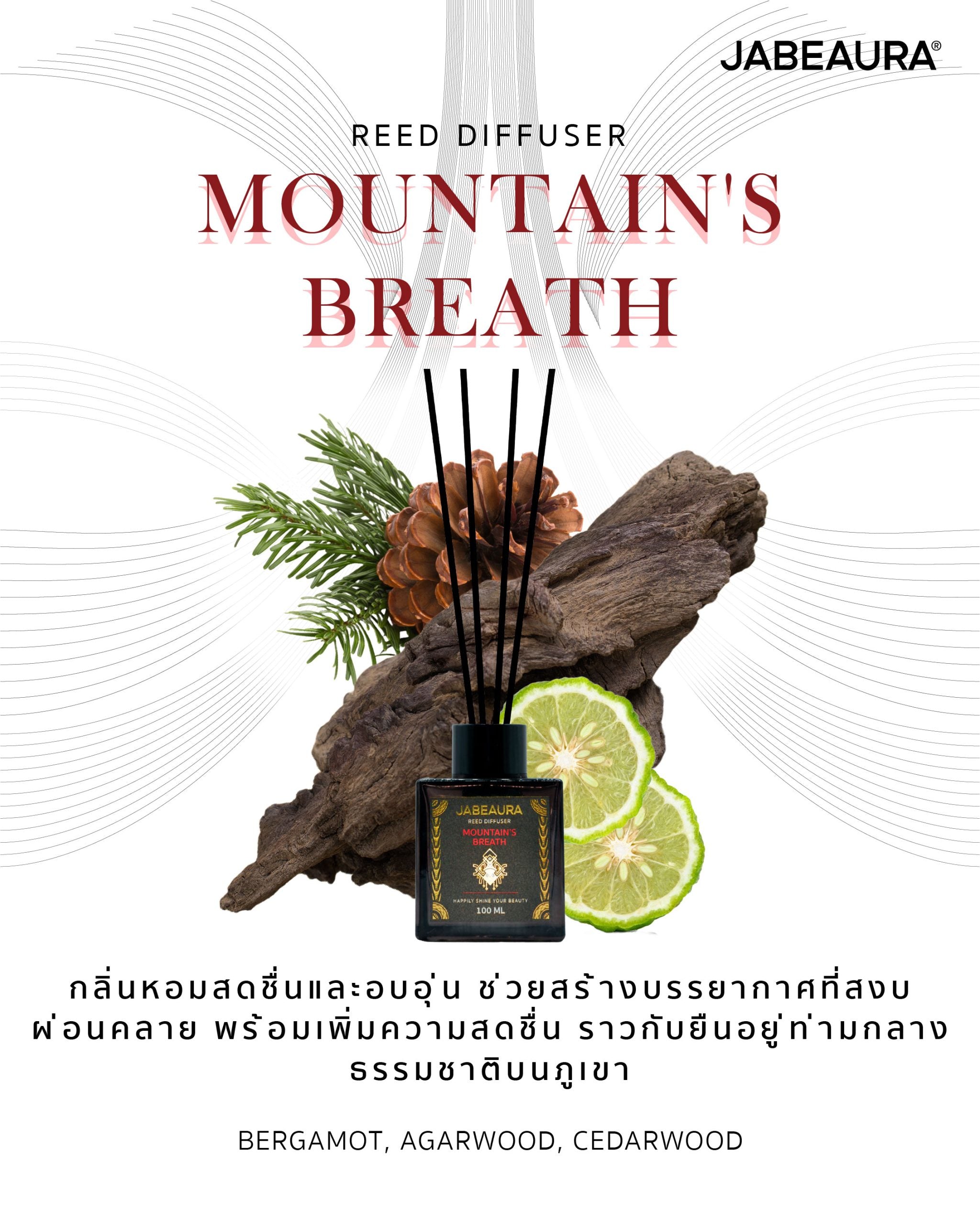 JABEAURA (เจบิวร่า) REED DIFFUSER (MOUNTAIN'S BREATH)