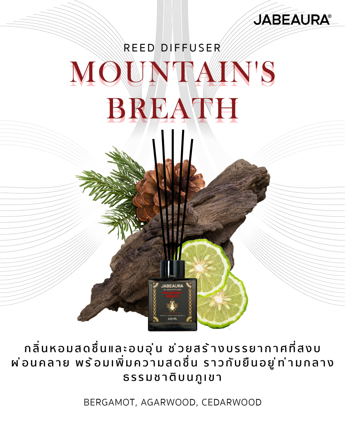 JABEAURA REED DIFFUSER (MOUNTAIN'S BREATH)